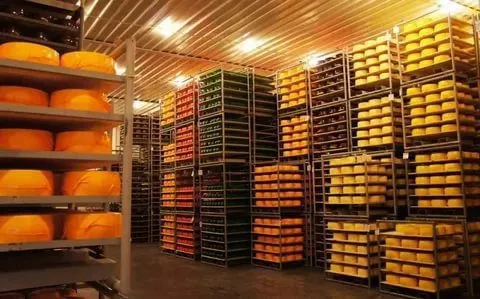 сыр оптом от производителя 350р/кг. в Волгограде