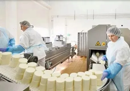 сыр оптом от производителя 350р/кг. в Волгограде 3